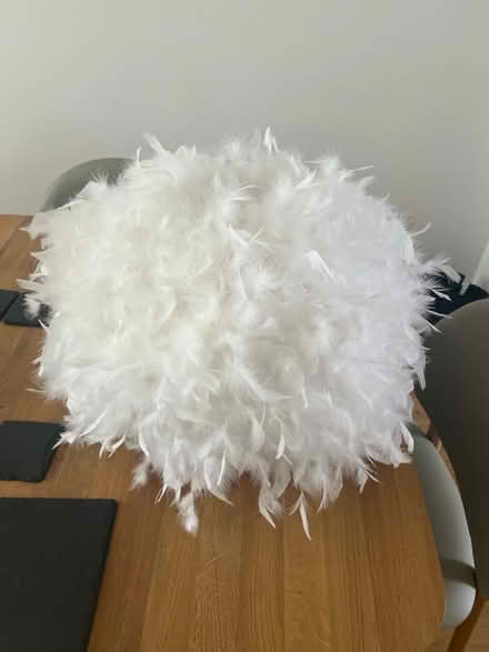 Photo of free Feather lampshade (Anniesland, glasgow, G12) #1