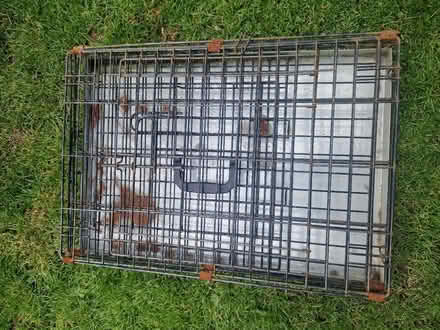 Photo of free Small crate (Longridge) #1