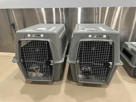 Photo of free Giant Sky Kennel Dog crates (Residence Inn SEATAC) #1