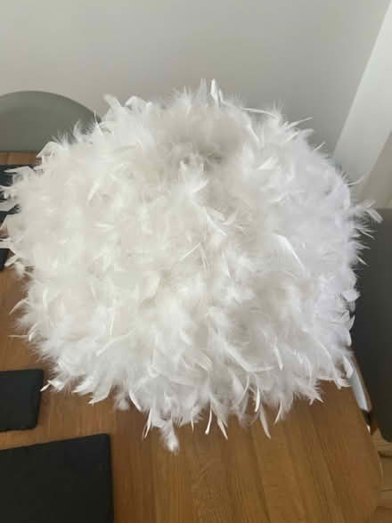 Photo of free Feather lampshade (Anniesland, glasgow, G12) #3