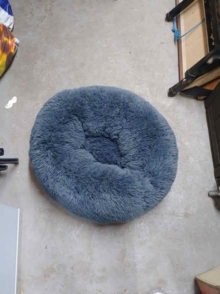 Photo of free Large Cat Bed (Long Eaton NG10) #1
