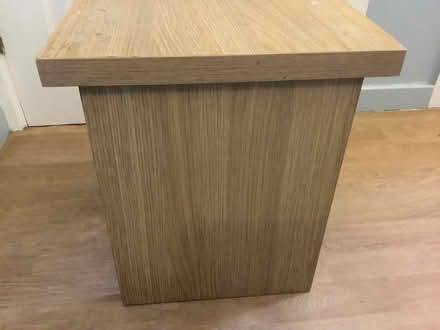 Photo of free Small table and spider plants (White City W10) #4