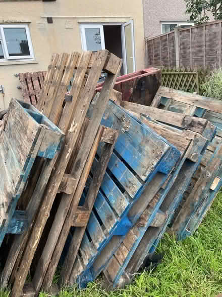 Photo of free Pallets (Hala LA1) #2