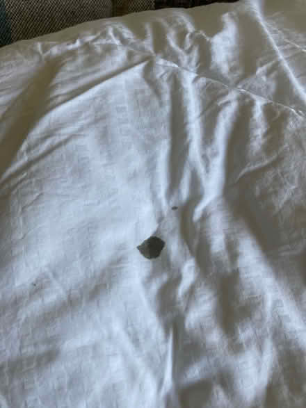 Photo of free 3 x single duvets (Denny Bottom TN4) #3