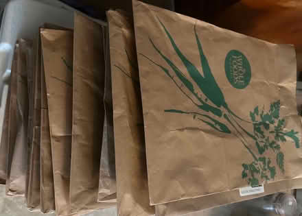 Photo of free paper grocery bags (Clear Lake City) #1
