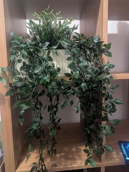 Photo of free Artificial plant (Wembley Park) #1