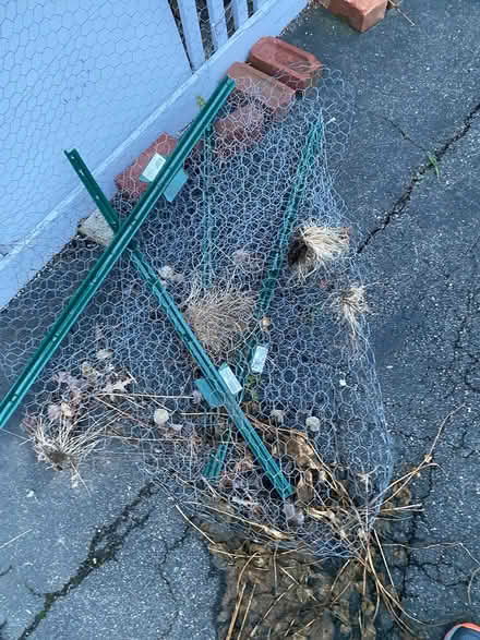Photo of free Chicken wire and stakes (Lowell and highland) #1