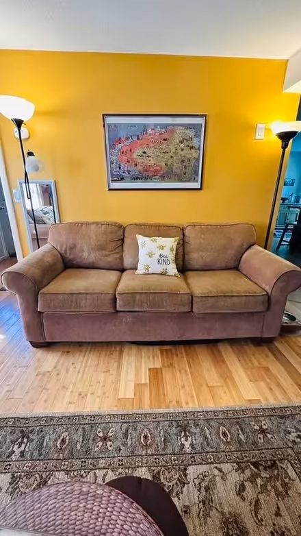 Photo of free Living Room sofas (Easthampton MA) #2