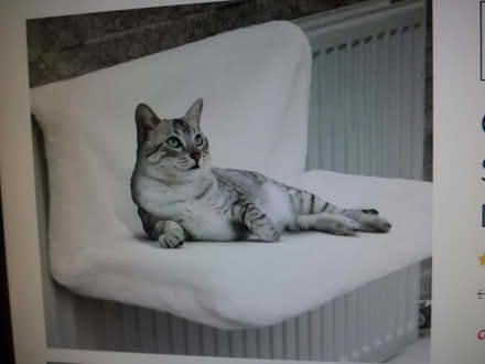 Photo of free cat radiator bed (Cam GL11) #1