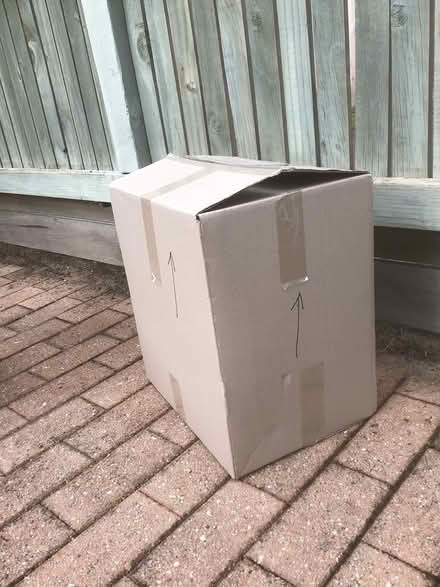 Photo of free Removalist cartons (Mornington) #2