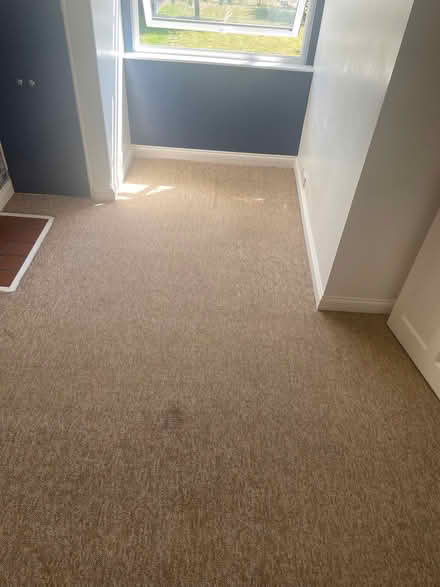 Photo of free Carpet (Easton PE28) #4