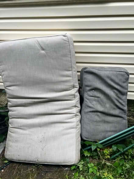 Photo of free Outdoor sofa cushions (Ardmore) #3