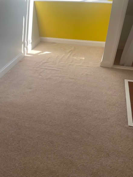 Photo of free Carpet (Easton PE28) #1