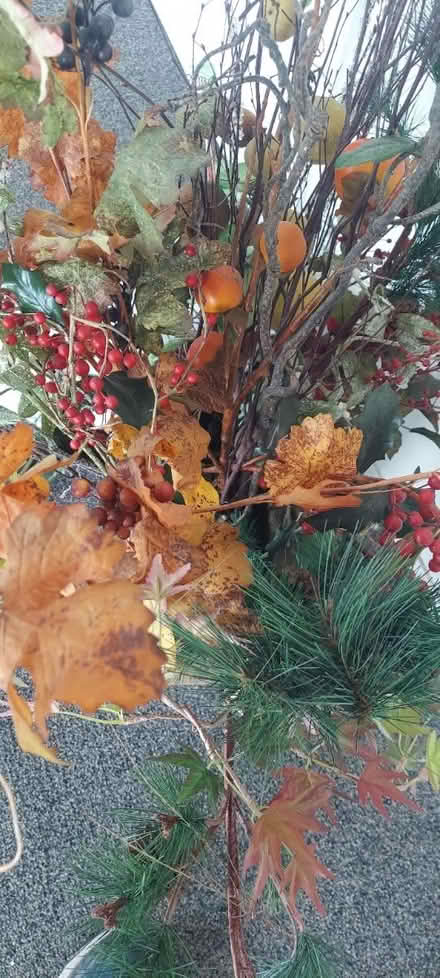 Photo of free All sorts of fake decorative plants (Marin) #1