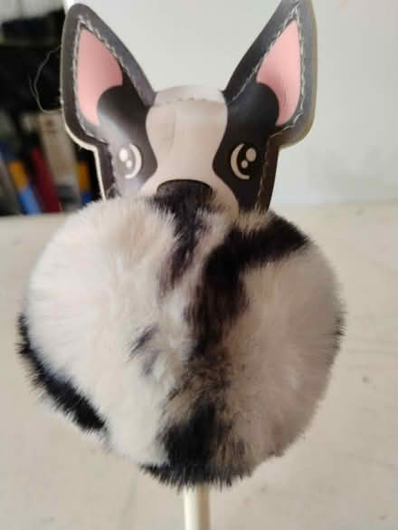 Photo of free Fluffy Bulldog Pen (Darien) #1