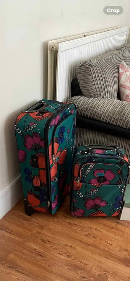 Photo of free Suitcases (Sw19 Colliers Wood) #2