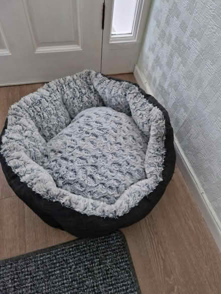 Photo of free Dog bed (Pr2, 3) #1
