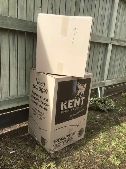 Photo of free Removalist cartons (Mornington) #3