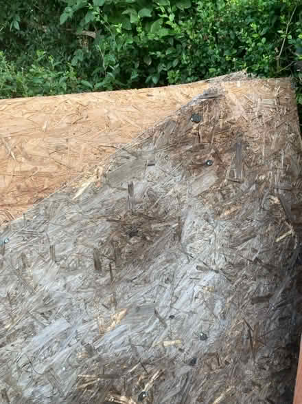 Photo of free 3 panels of OSB (Farcet) #1
