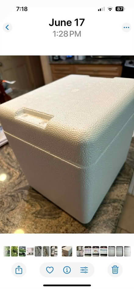 Photo of free Styrofoam cooler and ice packs (Lexington MA) #3