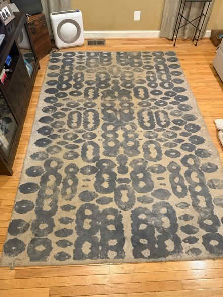 Photo of free Crate and Barrel area rug (Friendship Heights) #1