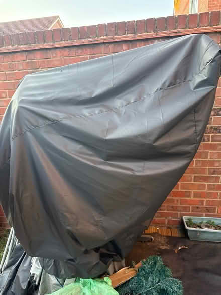 Photo of free Nautilus T264 treadmill with cover (Mudchute E14) #1