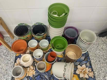 Photo of free Small indoor plant pots (Higher Brixham TQ5) #2