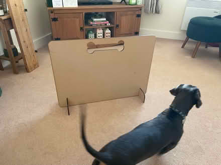 Photo of free Dog stair gate (Anstey, LE7) #2
