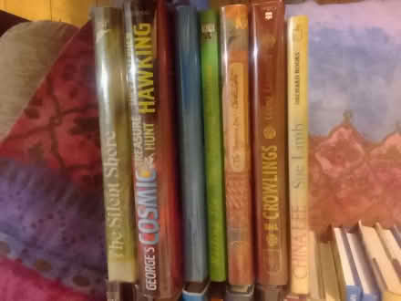 Photo of free Children's books (Sherburn Hill DH6) #1