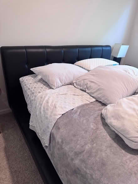 Photo of free Queen Platform Bed and Mattress (Union City) #1
