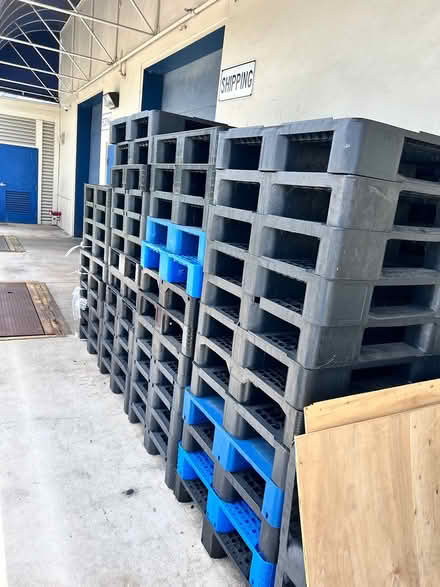 Photo of free Thick Plastic pallets (33065) #1