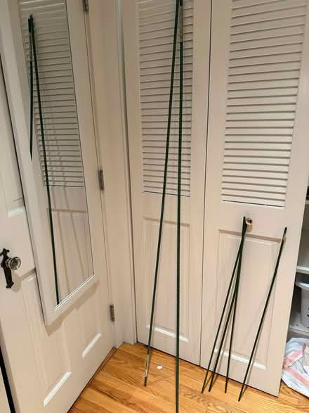Photo of free Gardening Poles (Belmont) #1