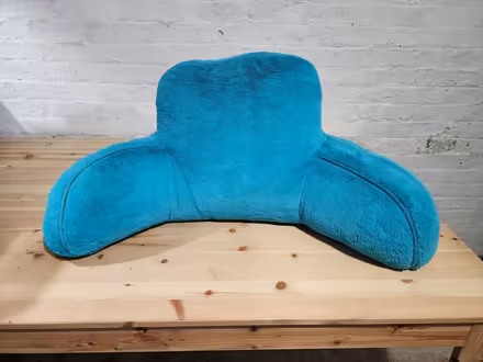 Photo of free sitting pillow (Hillcrest SE DC) #1