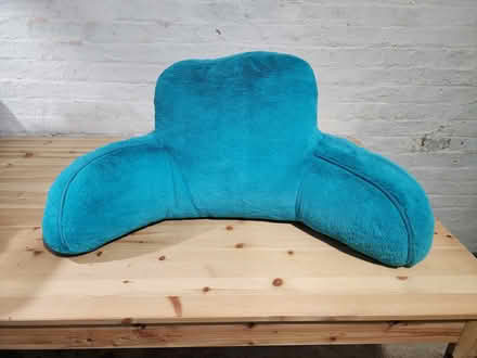 Photo of free sitting pillow (Hillcrest SE DC) #1