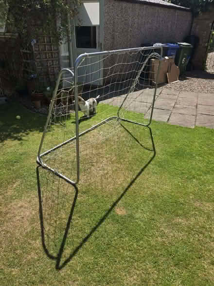 Photo of free Football Net for garden (Walton Lea WA4) #1
