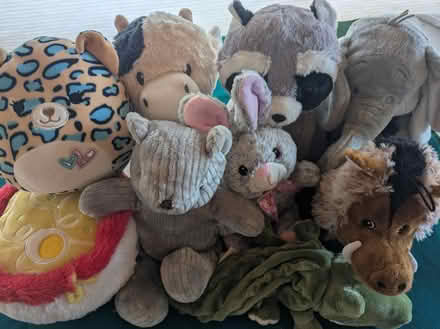 Photo of free Stuffed animals (N Leverett) #3