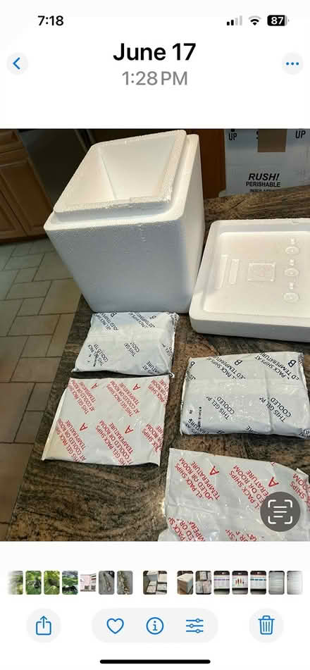Photo of free Styrofoam cooler and ice packs (Lexington MA) #1