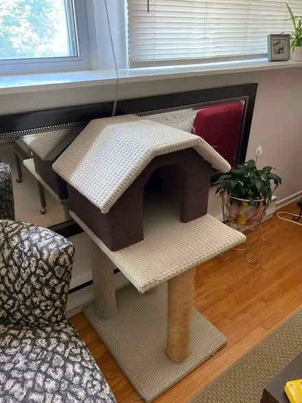 Photo of Cat tower (Leaside) #1