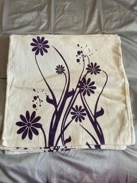 Photo of free 4x cushin covers (Swindon SN5) #1