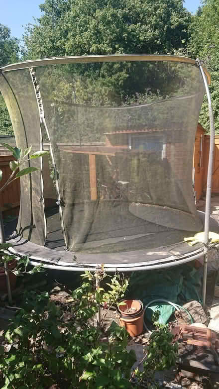 Photo of free Big trampoline (Upper Wolvercote OX2) #3
