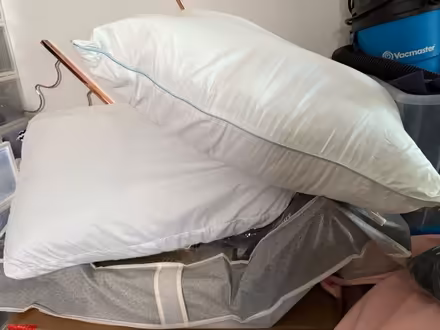 Photo of free Standard Sized Pillows (South Hill) #1