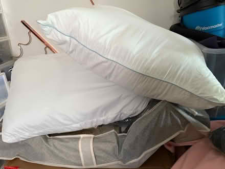 Photo of free Standard Sized Pillows (South Hill) #1