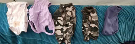 Photo of free Pet t-shirts for cold cat or dog (Maple Leaf) #1