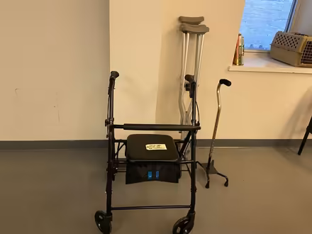 Photo of free Walker, Crutches, and Stability Can (Washington Heights) #1