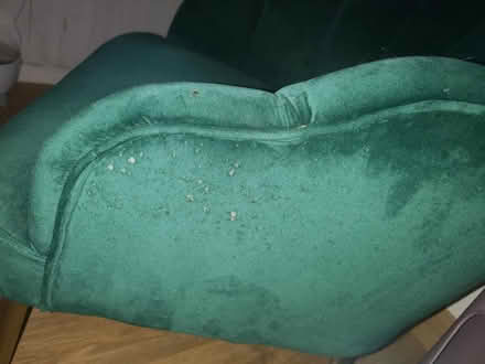 Photo of free Small green cocktail velour chair (Brighton Hill RG22) #3