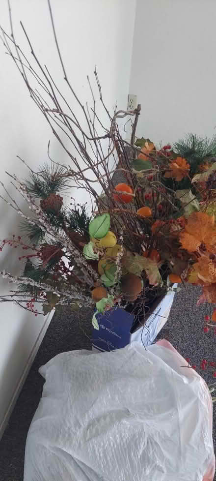 Photo of free All sorts of fake decorative plants (Marin) #3