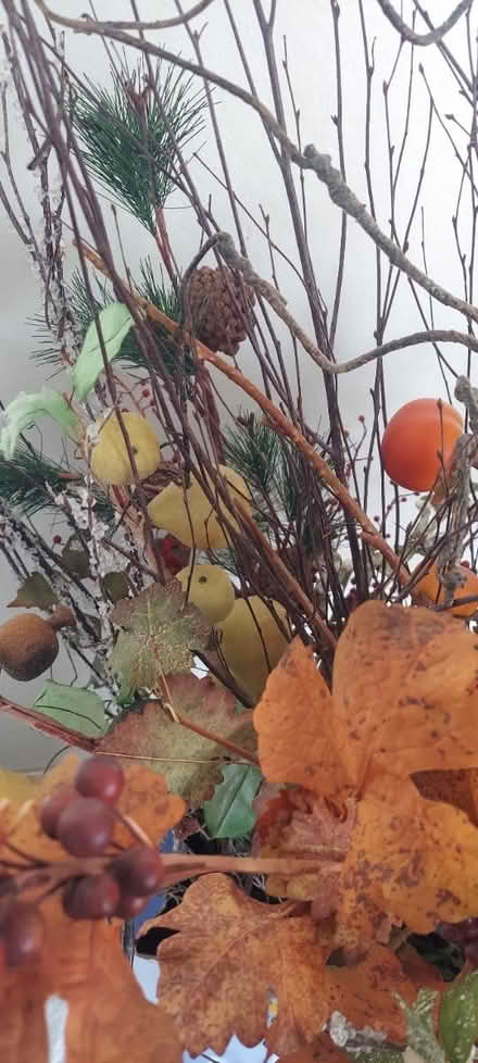 Photo of free All sorts of fake decorative plants (Marin) #2