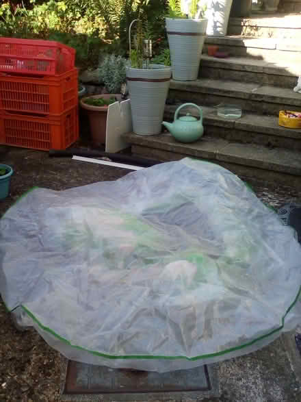 Photo of free Circular garden table cover (Shipley, BD18) #1