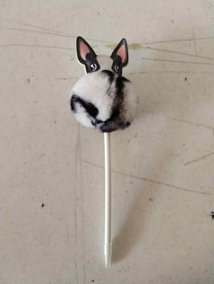 Photo of free Fluffy Bulldog Pen (Darien) #2