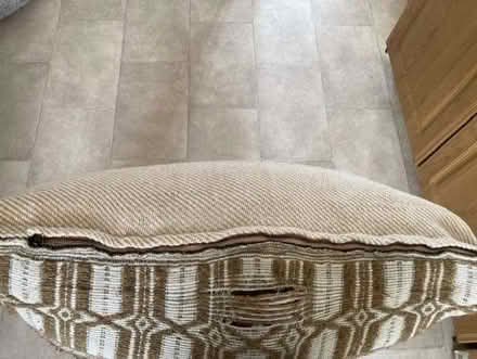 Photo of free Floor cushion (Pooley Green TW20) #3